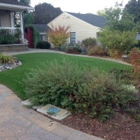 Synthetic Turf Denair, California Lawns, Front Yard Landscape Ideas