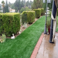 Synthetic Turf Newman, California Landscape Design, Backyard