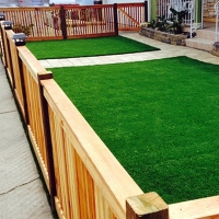 Synthetic Turf Newman, California Lawns, Front Yard Landscaping