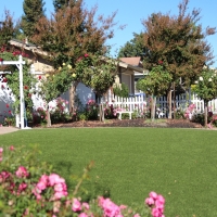 Synthetic Turf Supplier East Oakdale, California Landscape Photos, Front Yard