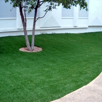 Synthetic Turf Waterford, California Backyard Playground, Commercial Landscape