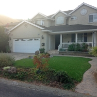 Turf Grass Bret Harte, California Lawn And Garden, Small Front Yard Landscaping