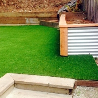 Turf Grass Bystrom, California Landscape Photos, Backyard Landscape Ideas