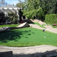 Turf Grass Riverbank, California Rooftop, Backyards