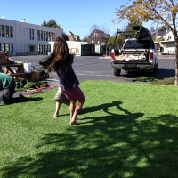 Turf Grass Westley, California Paver Patio, Commercial Landscape