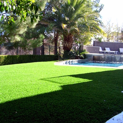 Artificial Grass Carpet Bystrom, California Roof Top, Backyard Makeover