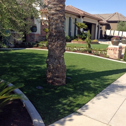 Artificial Grass Carpet East Oakdale, California Garden Ideas, Front Yard Landscaping