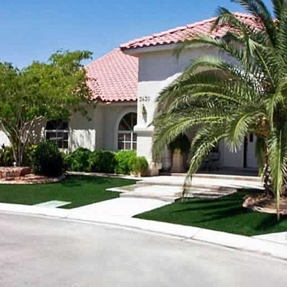 Artificial Grass Carpet Newman, California Landscaping, Front Yard Landscaping Ideas