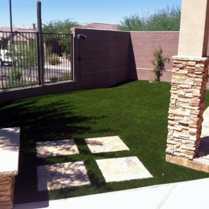 Artificial Grass Carpet Riverdale Park, California Lawns, Backyard Landscaping Ideas