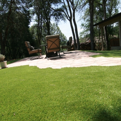 Artificial Grass Crows Landing, California Landscaping, Backyard Design