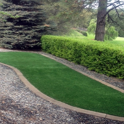 Artificial Grass Grayson, California Landscape Design