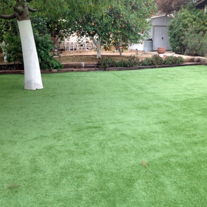 Artificial Grass Grayson, California Landscaping, Backyard