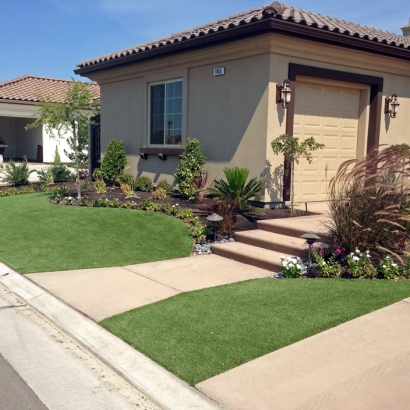 Artificial Grass Hickman, California Backyard Playground, Front Yard Design