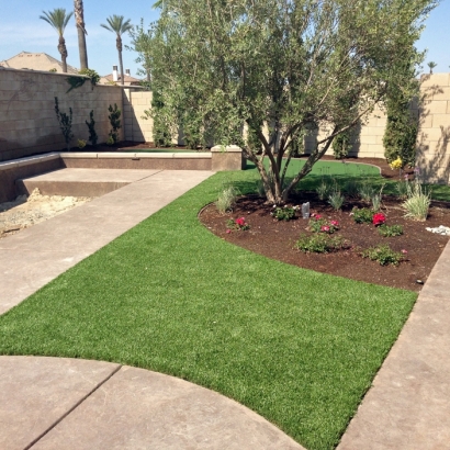 Artificial Lawn Modesto, California Landscaping, Front Yard Design