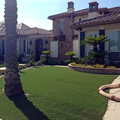 Artificial Lawn Westley, California Landscaping Business, Front Yard Design