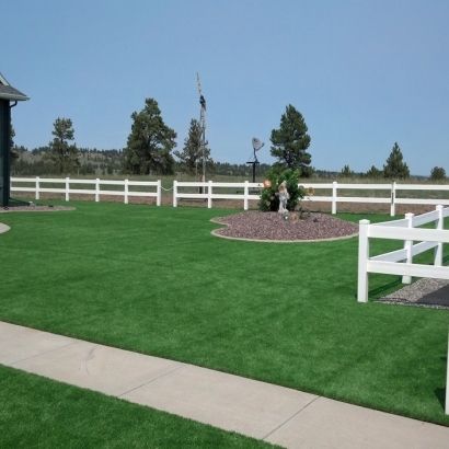 Artificial Turf Ceres, California Home And Garden, Backyard Garden Ideas