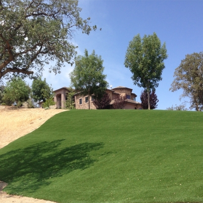 Artificial Turf Cost Grayson, California Landscape Ideas, Front Yard