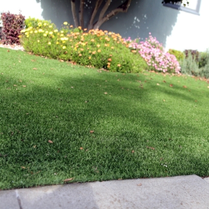 Artificial Turf Cost Newman, California Design Ideas, Front Yard Design