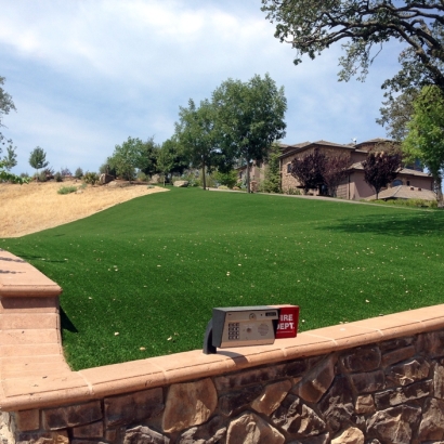 Artificial Turf Cost Patterson, California Home And Garden, Front Yard Design