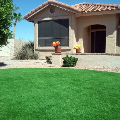 Artificial Turf Cost Patterson, California Landscape Ideas, Small Front Yard Landscaping