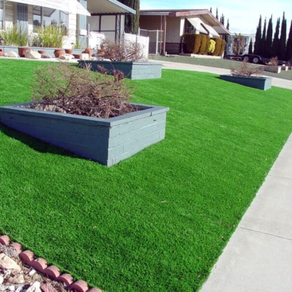 Artificial Turf Hickman, California Landscape Photos, Front Yard Landscaping