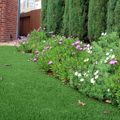 Artificial Turf Patterson, California Garden Ideas, Front Yard Landscaping