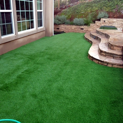 Best Artificial Grass Crows Landing, California Landscape Design, Backyard Ideas