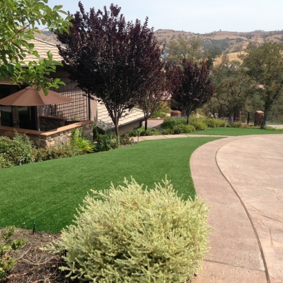 Best Artificial Grass Empire, California Backyard Playground, Front Yard Landscape Ideas