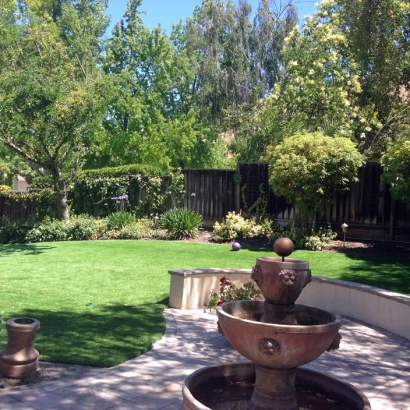 Best Artificial Grass Hughson, California Landscape Design, Backyard Designs