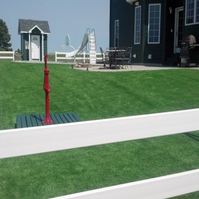 Best Artificial Grass Turlock, California Landscape Design, Front Yard Landscaping Ideas