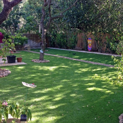 Best Artificial Grass Waterford, California Landscape Design, Small Backyard Ideas