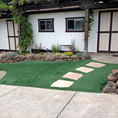 Fake Grass Carpet Denair, California Home And Garden, Front Yard Landscape Ideas