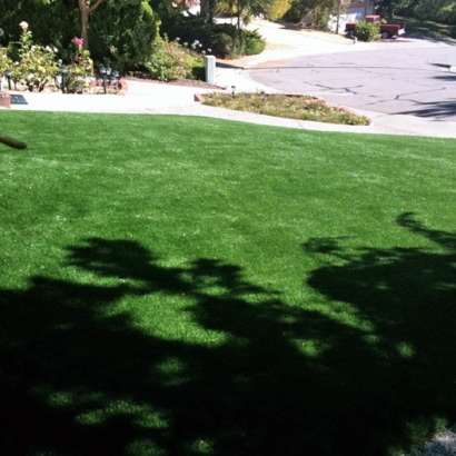 Fake Grass Ceres, California Landscape Photos, Landscaping Ideas For Front Yard