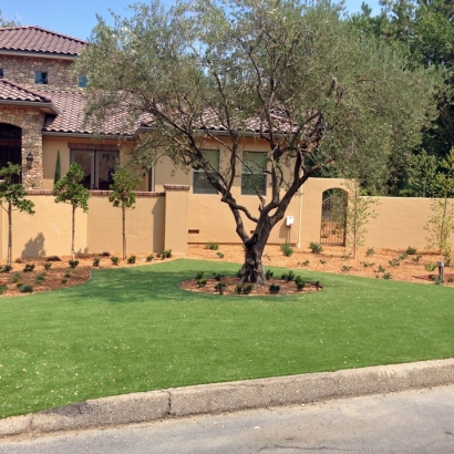 Fake Grass Del Rio, California Landscape Rock, Front Yard Landscape Ideas