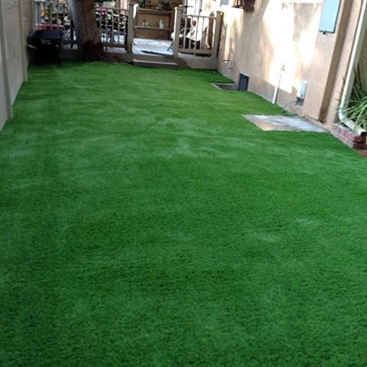 Fake Grass East Oakdale, California Lawns, Beautiful Backyards