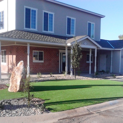 Fake Grass Riverbank, California Roof Top, Front Yard Ideas