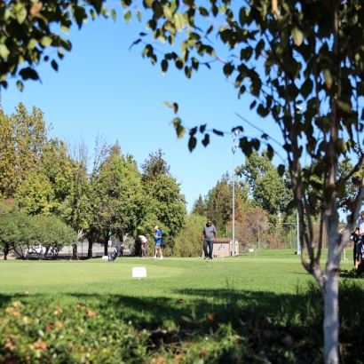 Fake Grass Salida, California Outdoor Putting Green