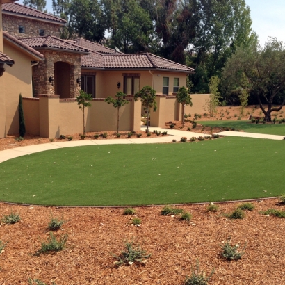 Fake Lawn Bystrom, California Rooftop, Front Yard Landscaping