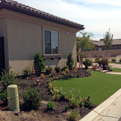 Fake Lawn Crows Landing, California Lawn And Landscape, Small Front Yard Landscaping