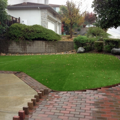 Fake Lawn Modesto, California Landscaping, Backyard Landscape Ideas