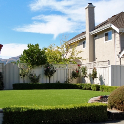 Fake Lawn Riverdale Park, California Design Ideas, Landscaping Ideas For Front Yard