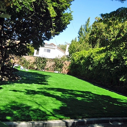 Fake Lawn Turlock, California Lawn And Landscape, Backyard Ideas