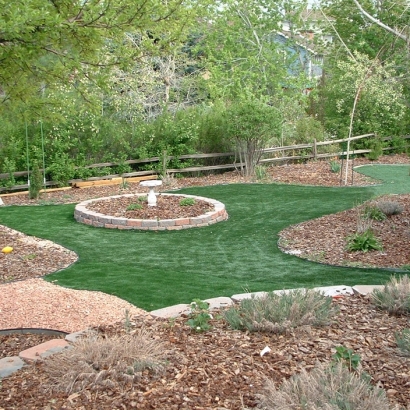 Fake Lawn Westley, California Landscape Design, Beautiful Backyards