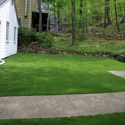 Fake Turf Riverdale Park, California Landscaping Business, Front Yard