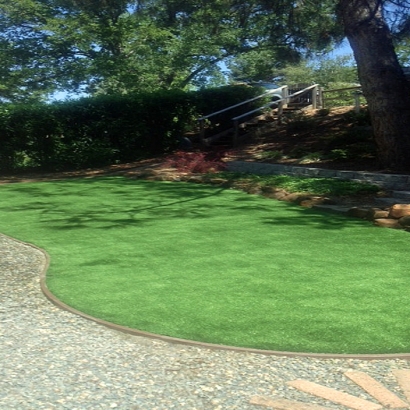 Fake Turf Salida, California Landscaping Business, Backyard Design