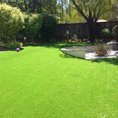 Faux Grass Bret Harte, California Landscape Rock, Backyard Garden Ideas