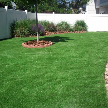 Faux Grass Hughson, California Design Ideas, Backyards