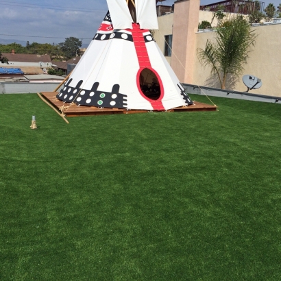 Faux Grass Oakdale, California Lawns, Roof Top