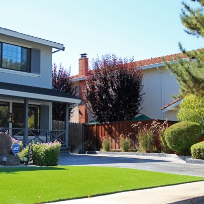 Faux Grass Riverbank, California Landscaping Business, Front Yard Ideas