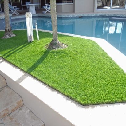 Grass Carpet Bystrom, California Design Ideas, Backyard Garden Ideas